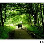 Foto: "Peregrinos Camino de Santiago en una fraga cerca de Portomarín" de Loreto  López Baltar