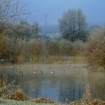 Foto: "Parque do Miño en Lugo" de Manuel Alfonso Fernández