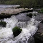 Foto: "O Piago" de Rocío Vila Abuín