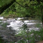 Foto: "Río Sor" de Ricardo Ares