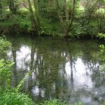 Foto: "Río Sor" de Ricardo Ares