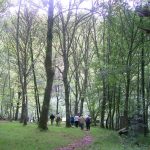 Foto: "Paraje Río Sor" de Ricardo Ares