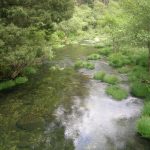 Foto: "Río Sor" de Ricardo Ares