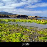 Foto: "Playa de Os Castros en Ribadeo" de Loreto  López Baltar