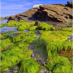 Foto: "Zona en la Playa de Os Castros en  Ribadeo" de Loreto  López Baltar