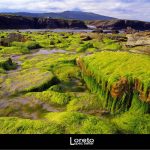 Foto: "Zona de roca en la Playa de Os Castros en Ribadeo" de Loreto  López Baltar