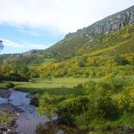 Foto: "Camino del Mustallar en Os Ancares" de Jorge F. Nóvoa