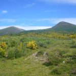Foto: "Picos Fontelonga y Mustallar desde Piornedo nos Ancares" de Jorge F. Nóvoa