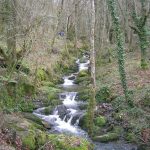 Foto: "Río Loio en Pacios" de Ricardo Ares