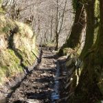Foto: "Camiño da Fontela - Folgoso do Caurel" de Dalva López