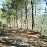 Foto: "Cerca de Campos de Vila" de Jorge F. Nóvoa