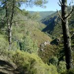 Foto: "Cerca de Campos de Vila" de Jorge F. Nóvoa