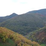 Foto: "Desde O Taro" de Dalva López