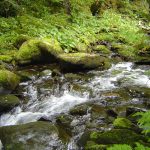 Foto: "Río Selmo entre Vieiros y Ferramulín" de Juan Francisco Iglesias Gonzalez