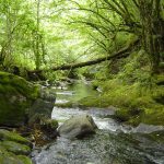 Foto: "Río Selmo entre Vieiros y Farramolín" de Juan Francisco Iglesias Gonzalez