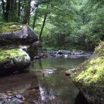 Foto: "Pozo das Mulas no Caurel" de Sonia Mª García García