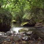 Foto: "Pozo das Mulas no Caurel" de Sonia Mª García García