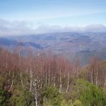 Foto: "Camino de Fonte do cervo no Formigueiro" de Moncho Diéguez