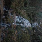Foto: "Fervenza do Focaro congelada" de Jorge F. Nóvoa