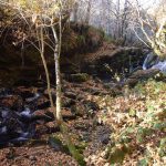 Foto: "Rocas en el río Selmo en O Caurel" de Jorge F. Nóvoa