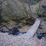 Foto: "Puente sobre el río Selmo en O Caurel" de Jorge F. Nóvoa