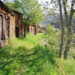 Foto: "A Cubela en Ribas de Sil" de Moncho Diéguez