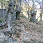 Foto: "Cabanas de carballois en Seoane do Courel" de Moncho Diéguez