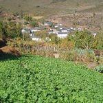Foto: "Figueiredo en Ribas de Sil" de Moncho Diéguez