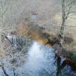 Foto: "Curso del río Lor en Seoane do Courel" de Moncho Diéguez