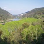 Foto: "Zona de Augasmestas en Ribas de Sil" de Moncho Diéguez