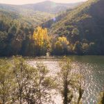 Foto: "Ladera de Ribas de Sil" de Pablo Vidal González