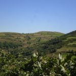 Foto: "Hórreos en O Caurel" de Begoña