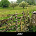 Foto: "Alrededores de Sarria" de Loreto  López Baltar