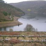 Foto: "Antiguos viñedos del Monasterio de San Facundo" de Ricardo Ares