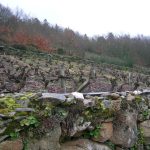 Foto: "Antiguos viñedos del Monasterio de San Facundo" de Ricardo Ares