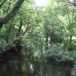 Foto: "Río Miño a su paso por Rábade" de Sonia Mª García García