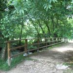 Foto: "Puente de unión de las Insuas do Miño" de Sonia Mª García García
