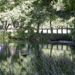 Foto: "Laguna de Fonmiña por donde pasa el Rio Miño" de Fotos de Galicia