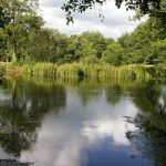 Foto: "Laguna de Fonmiña por donde pasa el Rio Miño" de Fotos de Galicia