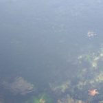 Foto: "Laguna de Fonmiña por donde pasa el Rio Miño" de Fotos de Galicia