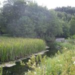 Foto: "Laguna de Fonmiña por donde pasa el Rio Miño" de Fotos de Galicia