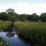 Foto: "Laguna de Fonmiña por donde pasa el Rio Miño" de Fotos de Galicia