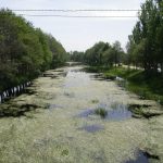 Foto: "Río Limia al paso por Xinzo de Limia" de Fotos de Galicia