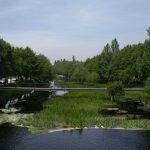 Foto: "Río Limia al paso por Xinzo de Limia" de Fotos de Galicia