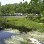 Foto: "Río Limia al paso por Xinzo de Limia" de Fotos de Galicia