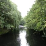 Foto: "Río Arnoia" de Fotos de Galicia