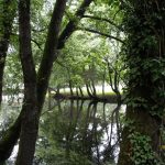 Foto: "Río Arnoia" de Fotos de Galicia