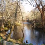 Foto: "Río Arenteiro" de Moncho Diéguez