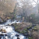 Foto: "Río Arenteiro" de Moncho Diéguez