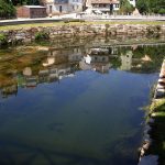 Foto: "Río Avia en Ribadavia" de Manuel Paz de Lema